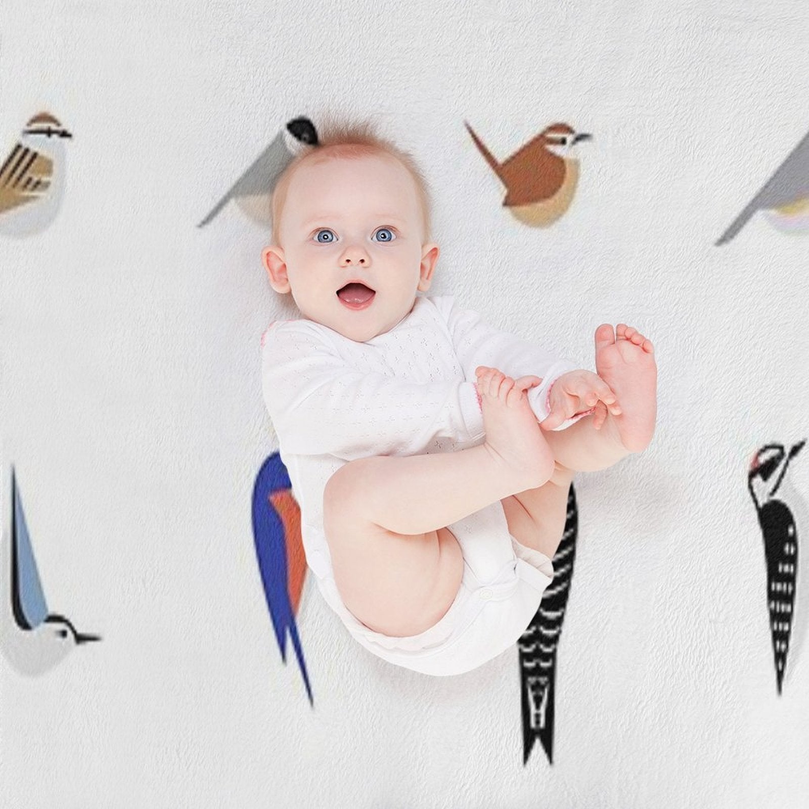 Common Backyard Birds of North America Lightweight Throw Blanket