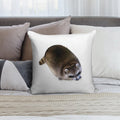 Fat Raccoon Soft Anti-Pilling Throw Pillow