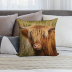 Highland Cow Soft Luxury Feel Throw Pillow