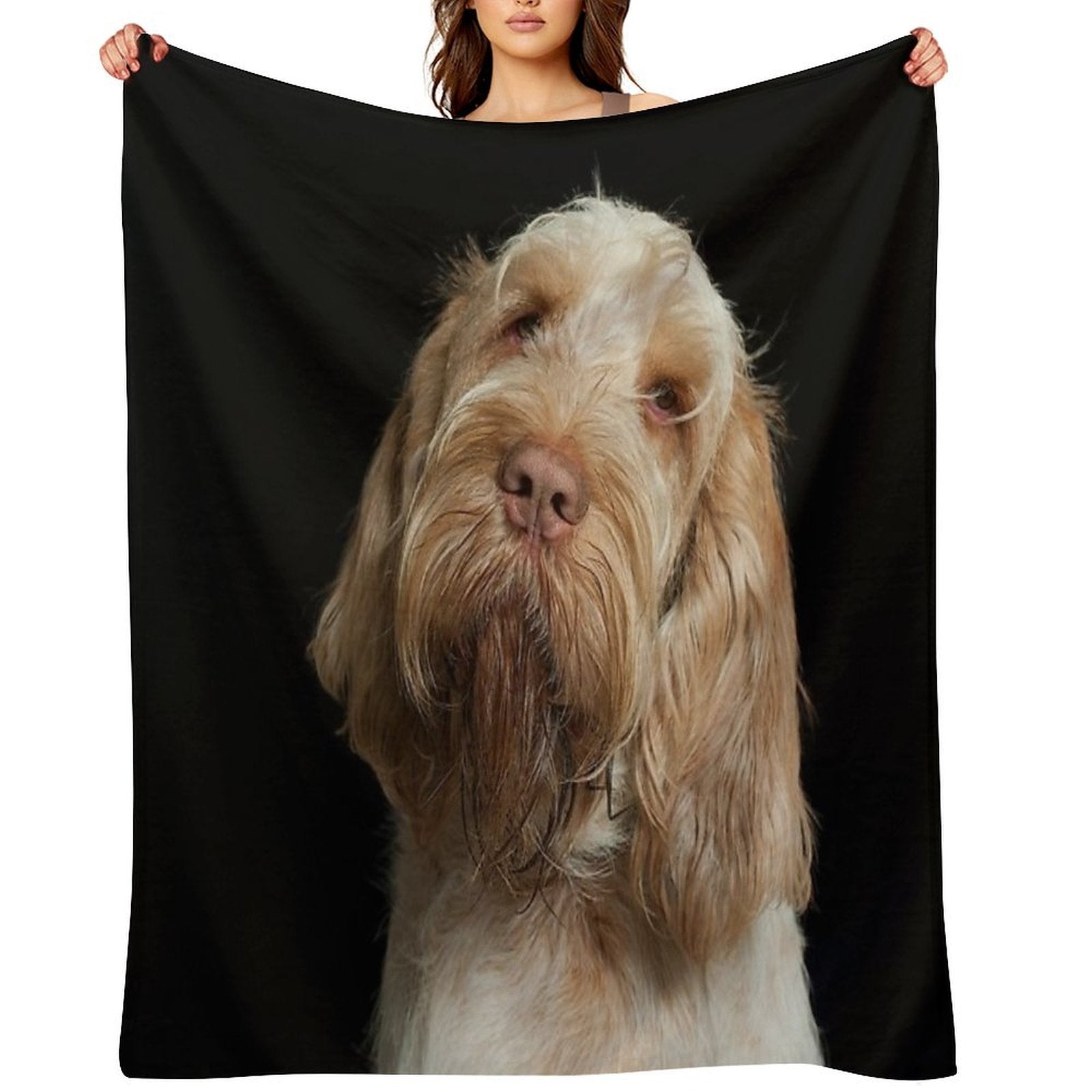 Head Tilt Spinone – Curious Gaze by Heidiannemorris © Premium Throw Blanket