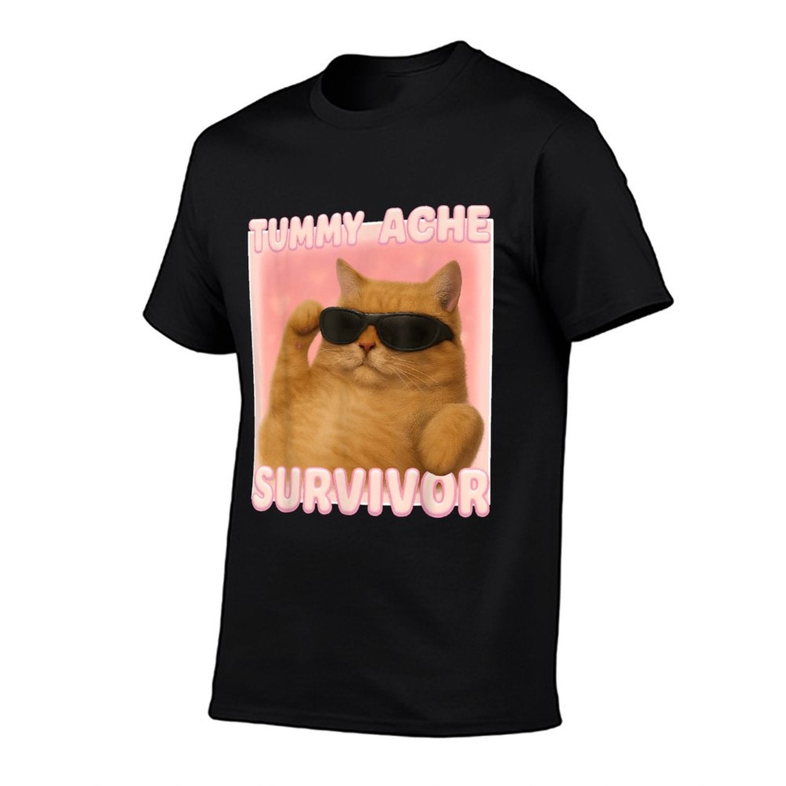 Cat Meme Tummy Ache Survivor Ironic Internet Cats Jokes  Eco-friendly Material T-Shirt
