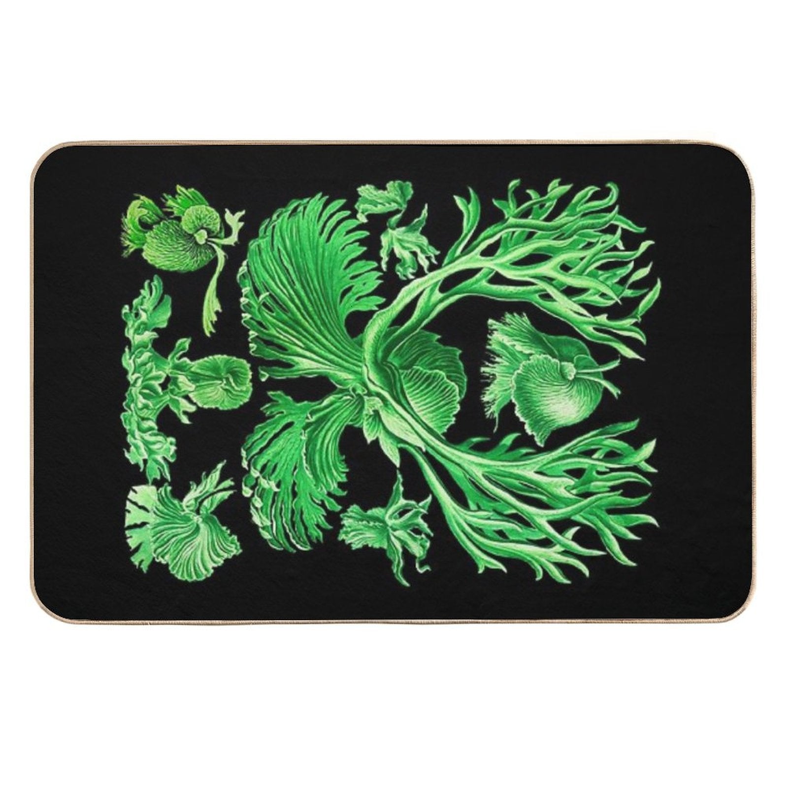 Plate 52. Platycerium Grande; The Staghorn, Or Elkhorn, Fern  Rapid-Drying Bath Mat