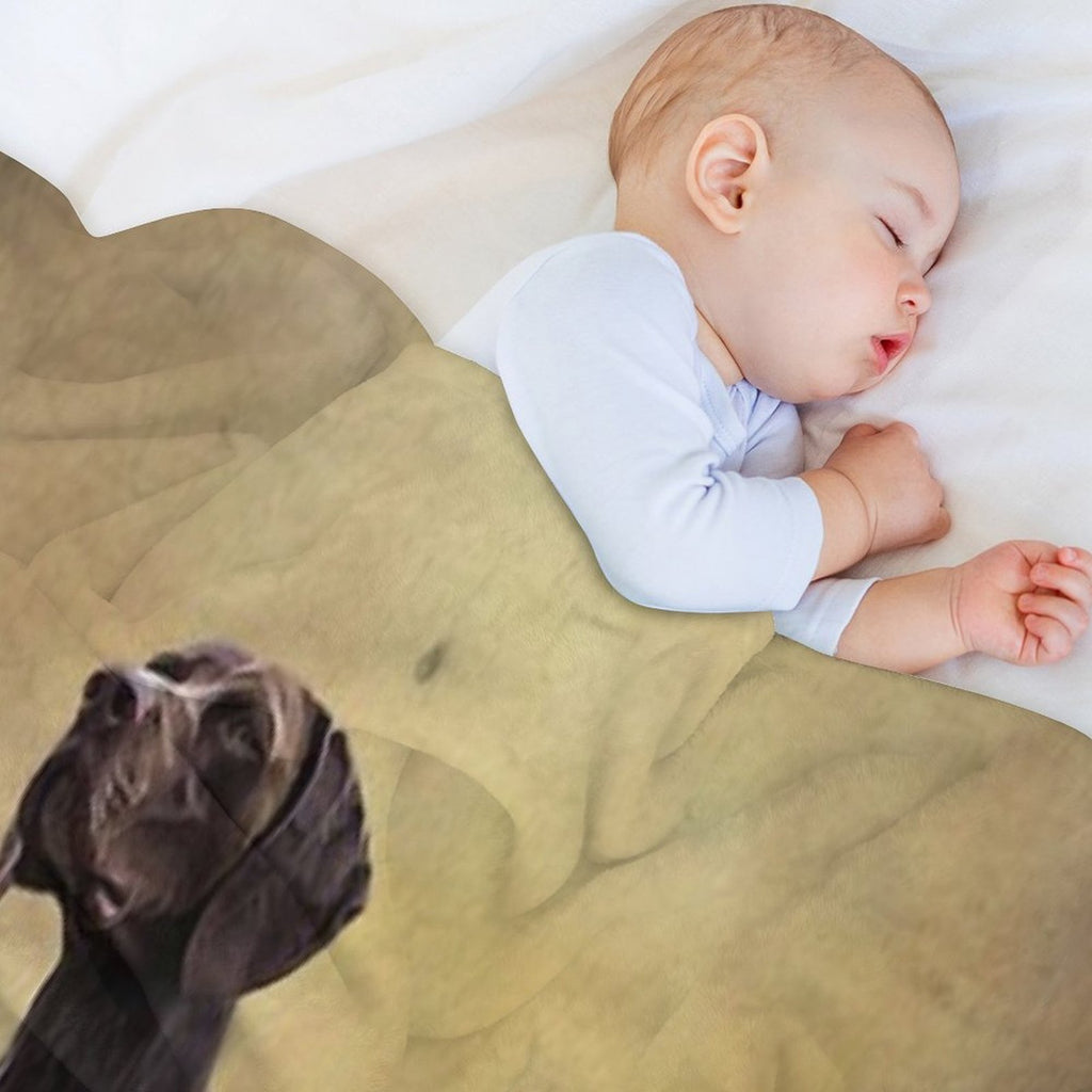 A German Shorthaired Pointer on Point Multi-functional Throw Blanket