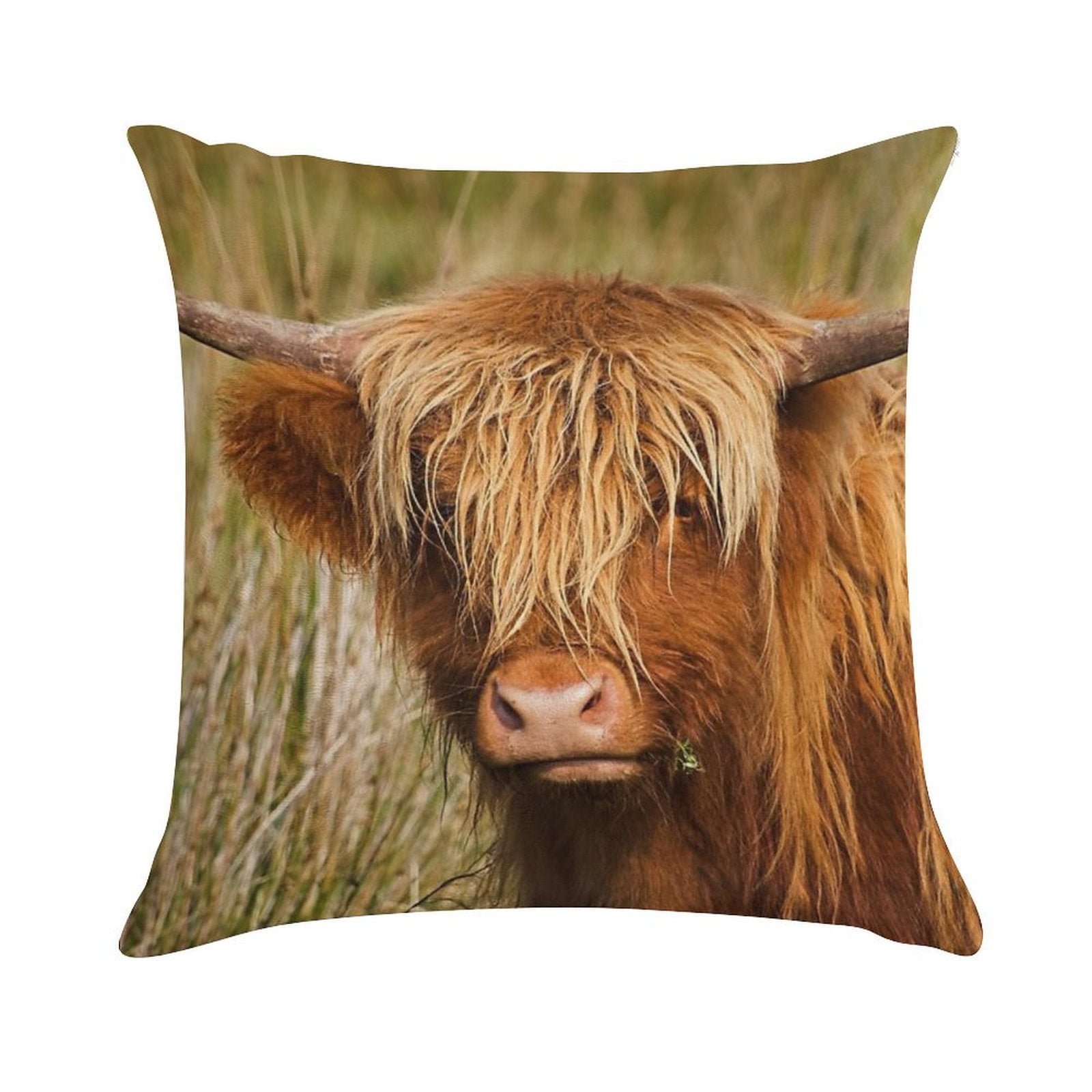 Highland Cow Soft Luxury Feel Throw Pillow