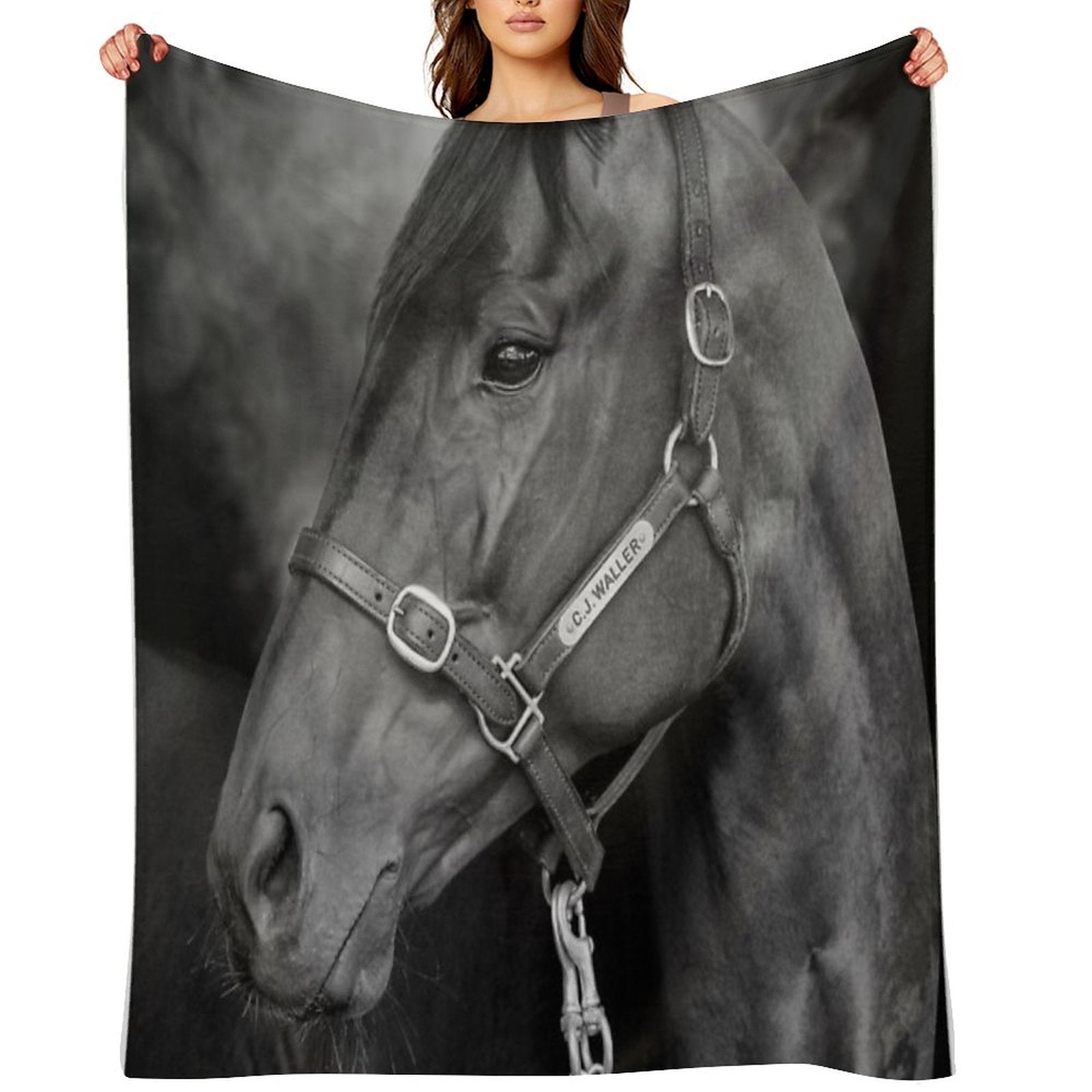 Winx - Farewell to A Champion Anti-pilling Throw Blanket