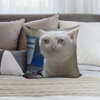 Crying Cat Meme Soft Short Plush Fabric Throw Pillow
