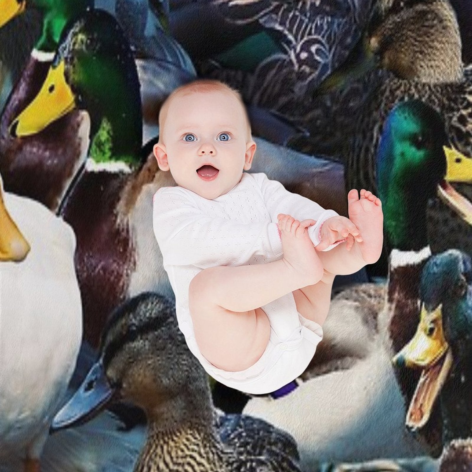 Ducks Gift-ready Throw Blanket