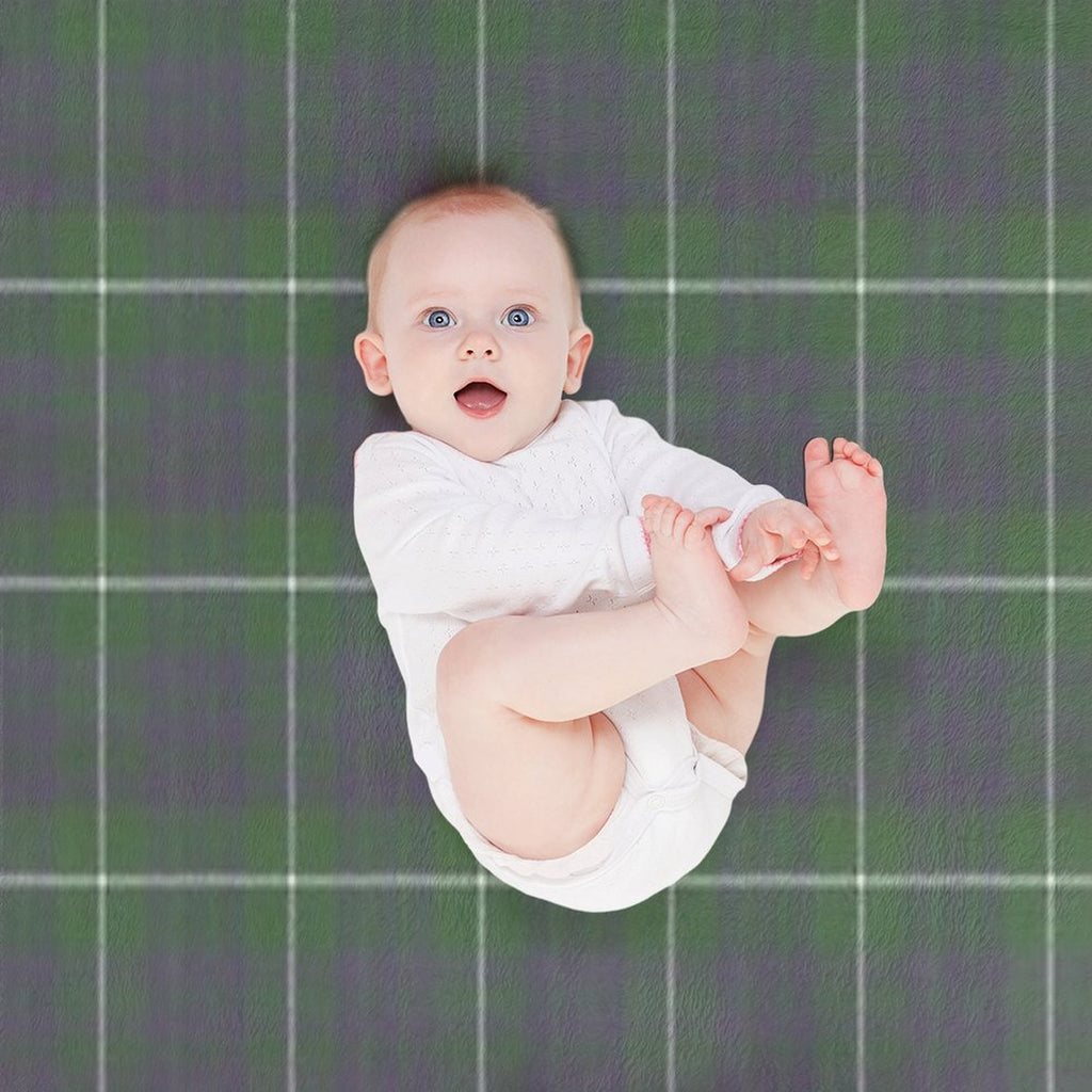 Hamilton Hunting Modern Clan Scottish Tartan Easy Care Throw Blanket