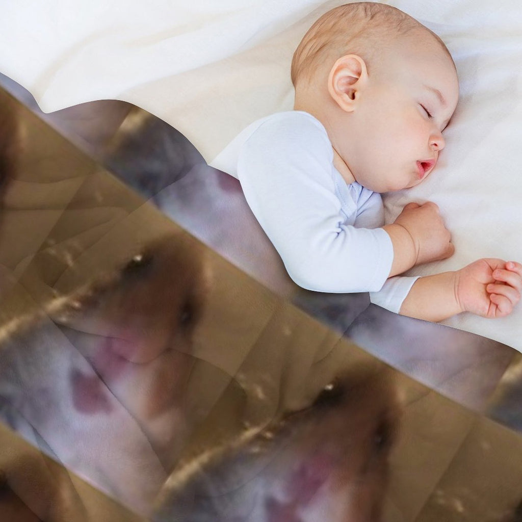 Staring Hamster Compact Throw Blanket