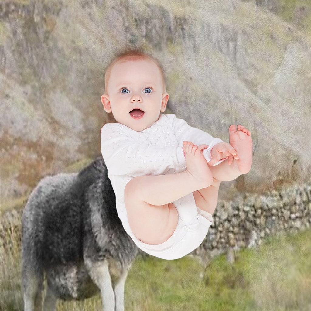 Herdwick Sheep Landscape Watercolour Photograph Shrink-resistant Throw Blanket