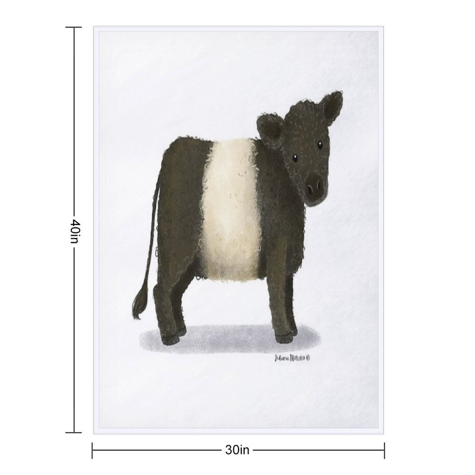Belted Galloway Cattle Quick-dry Throw Blanket