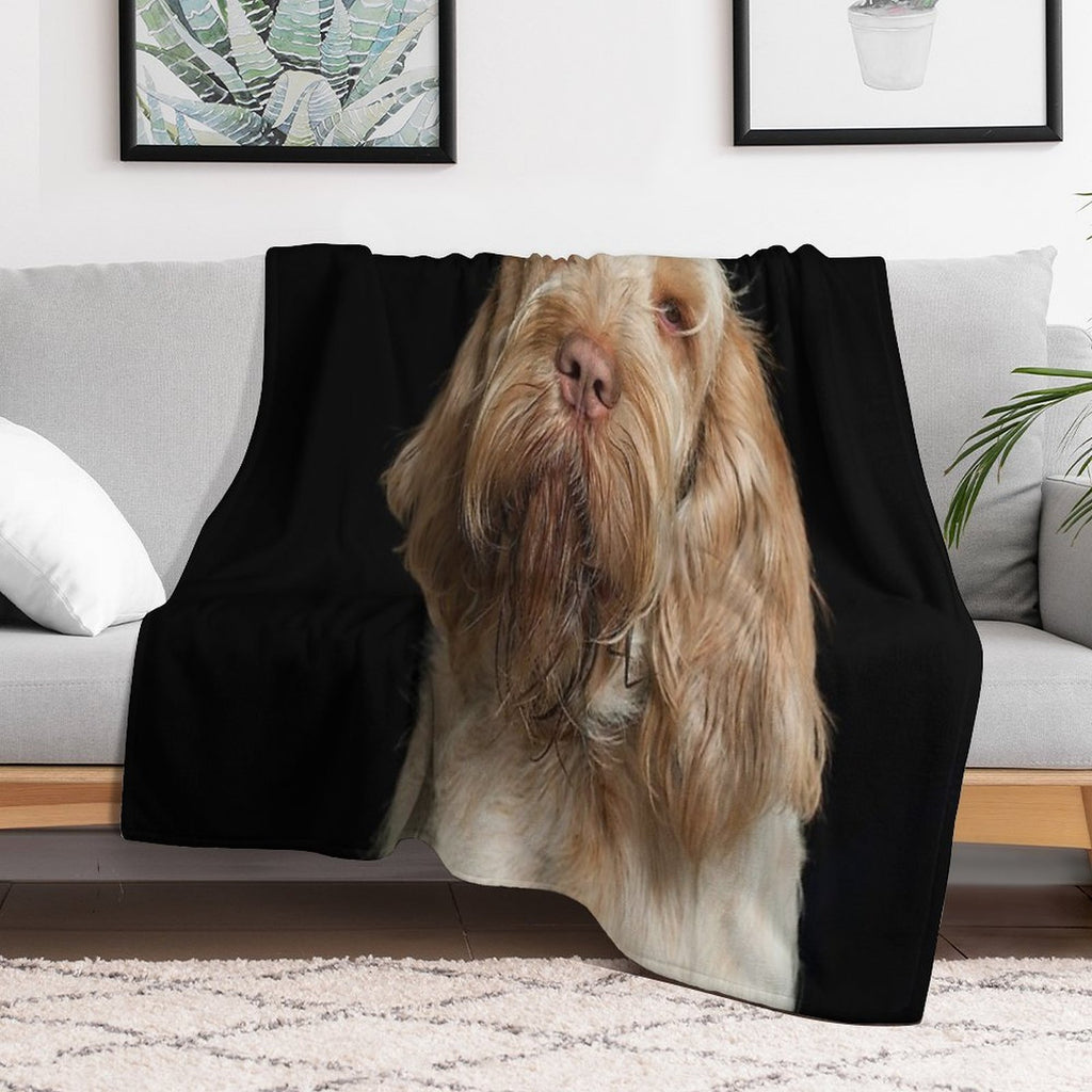Head Tilt Spinone – Curious Gaze by Heidiannemorris © Premium Throw Blanket