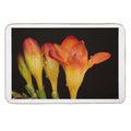 Vibrant Freesia Bloom with Dew Drops – Macro Floral Photography Fressia  Odorless Bath Mat