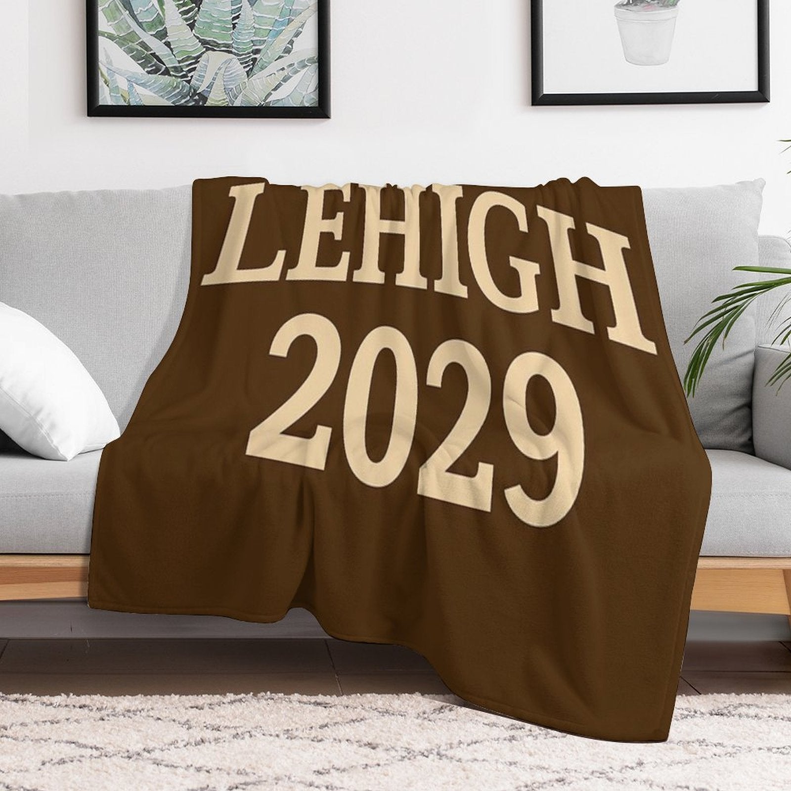 Lehigh Class of 2029 Eco-conscious Throw Blanket