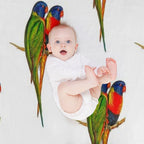 Rainbow Lorikeet Bird Australian Shrink-resistant Throw Blanket