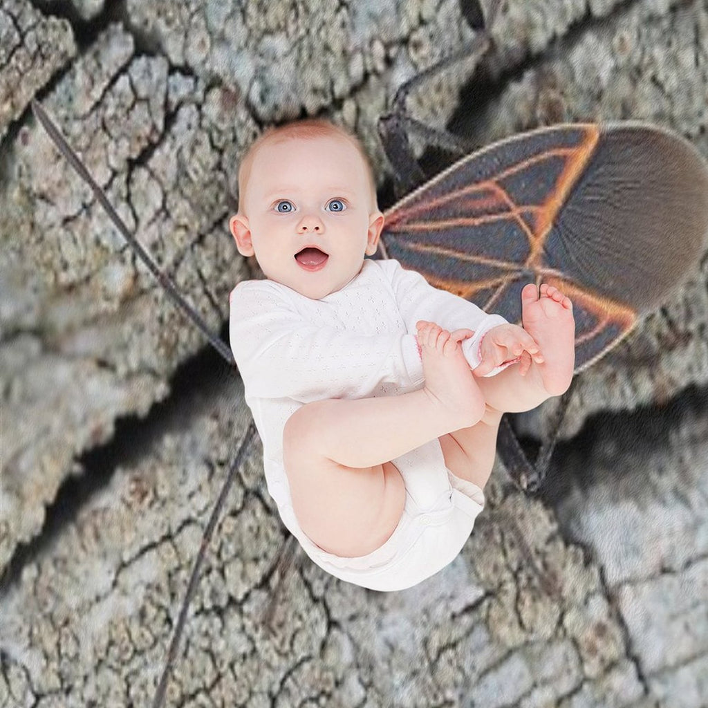 Western Boxelder Bug Comfort Throw Blanket