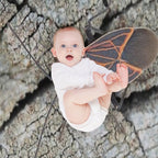 Western Boxelder Bug Comfort Throw Blanket