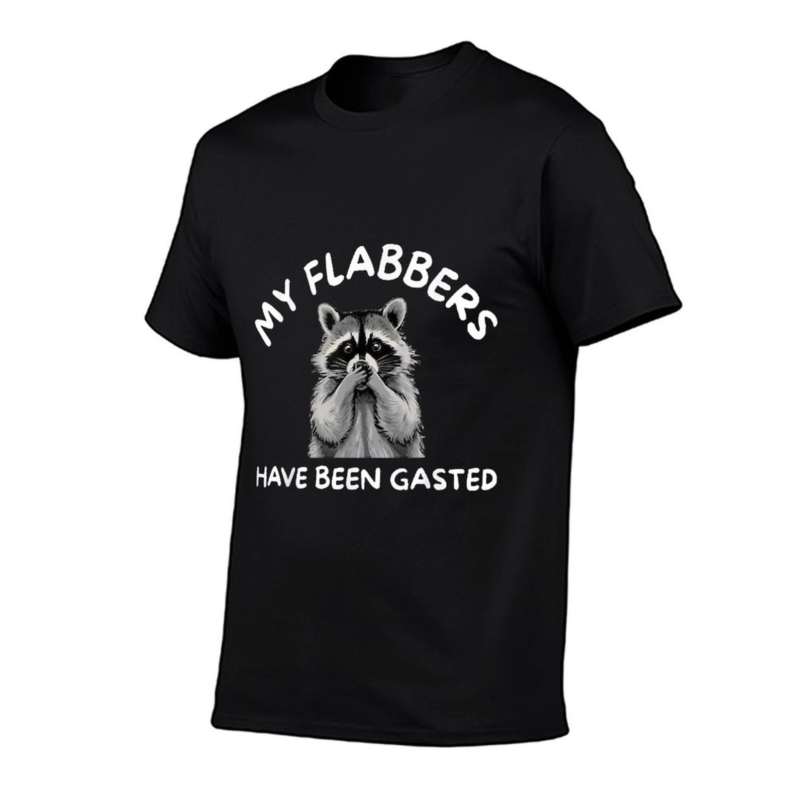 Raccoon My Flabbers Have Been Gasted  Affordable Price T-Shirt