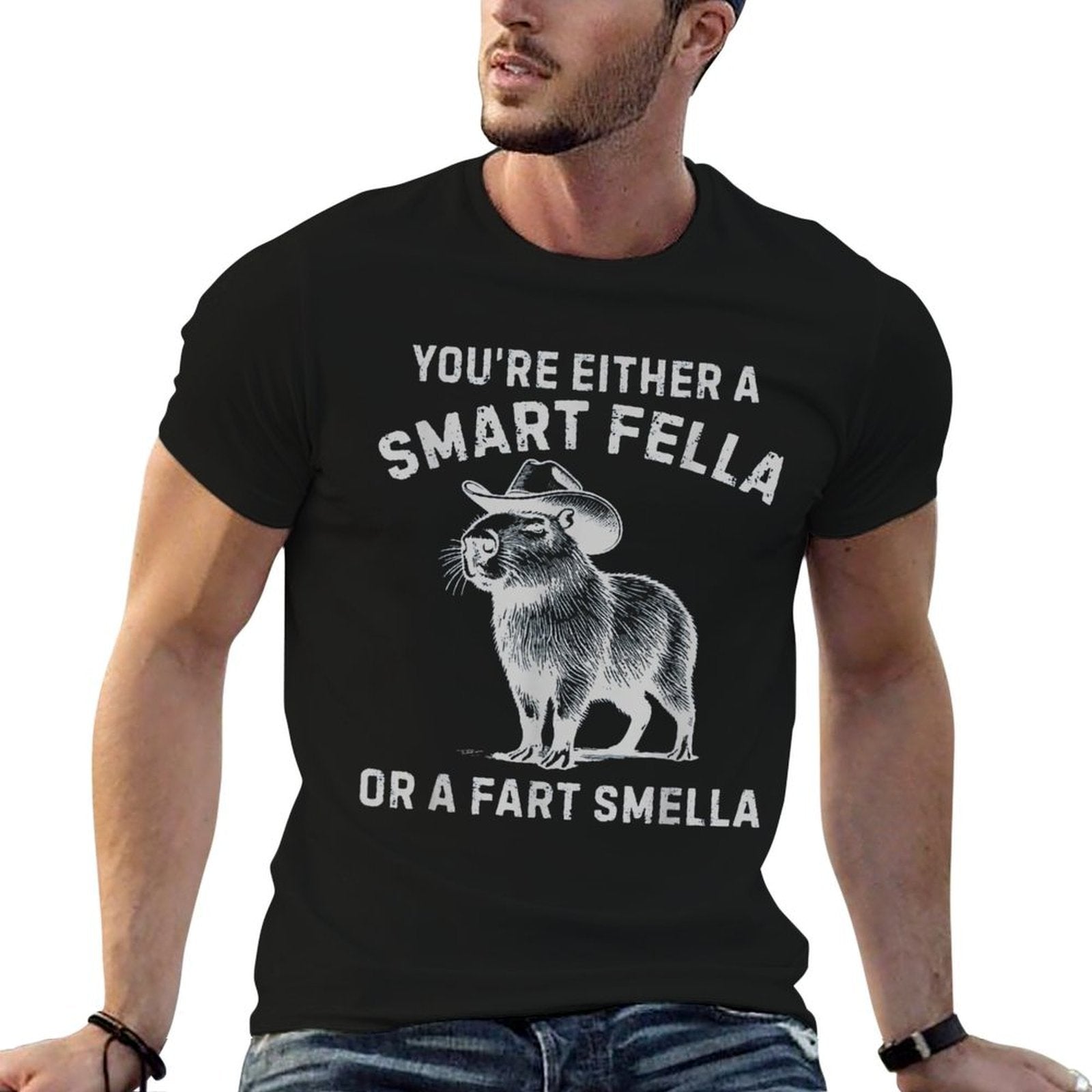 Youre Either A Smart Fella Or A Fart Smella Funny Sarcastic  Affordable Price T-Shirt
