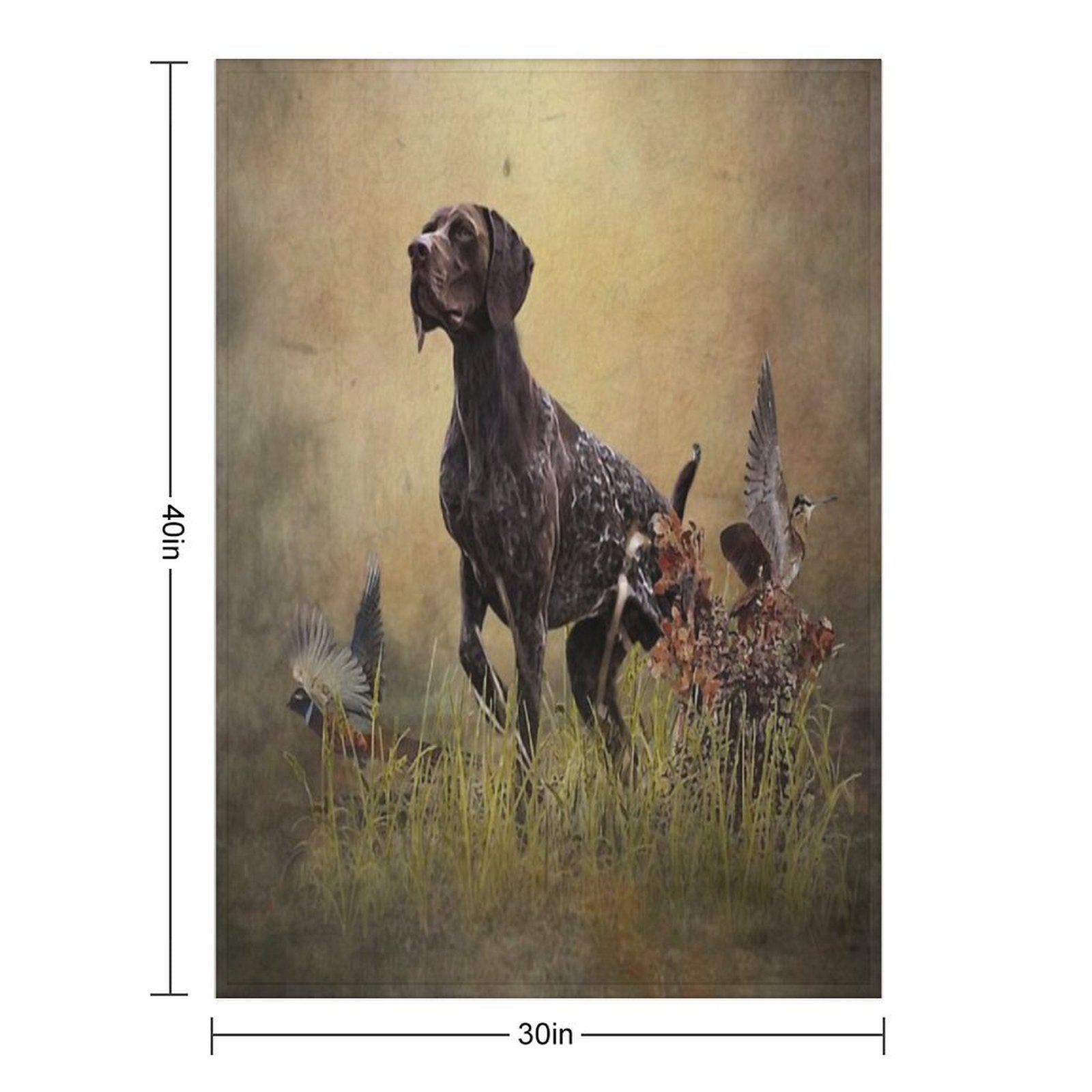 A German Shorthaired Pointer on Point Multi-functional Throw Blanket