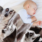Lemurs Anti-pilling Throw Blanket