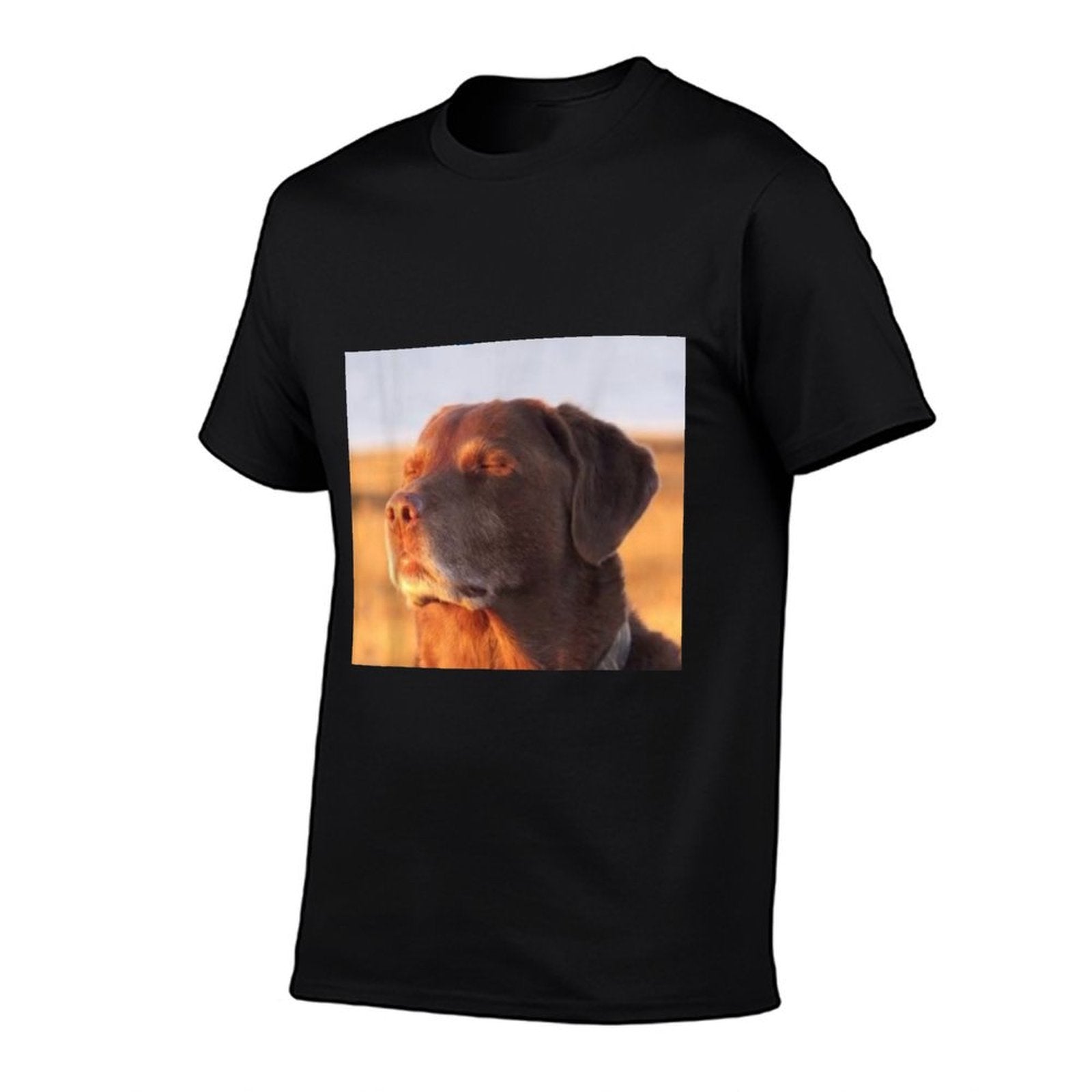 Let Me Know Ahh Funny Meme  Moisture-wicking T-Shirt