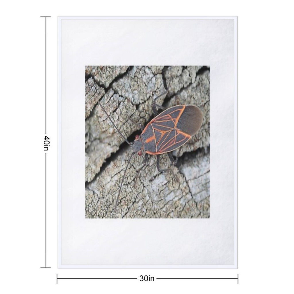 Western Boxelder Bug Comfort Throw Blanket