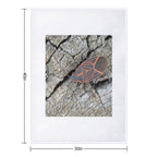 Western Boxelder Bug Comfort Throw Blanket