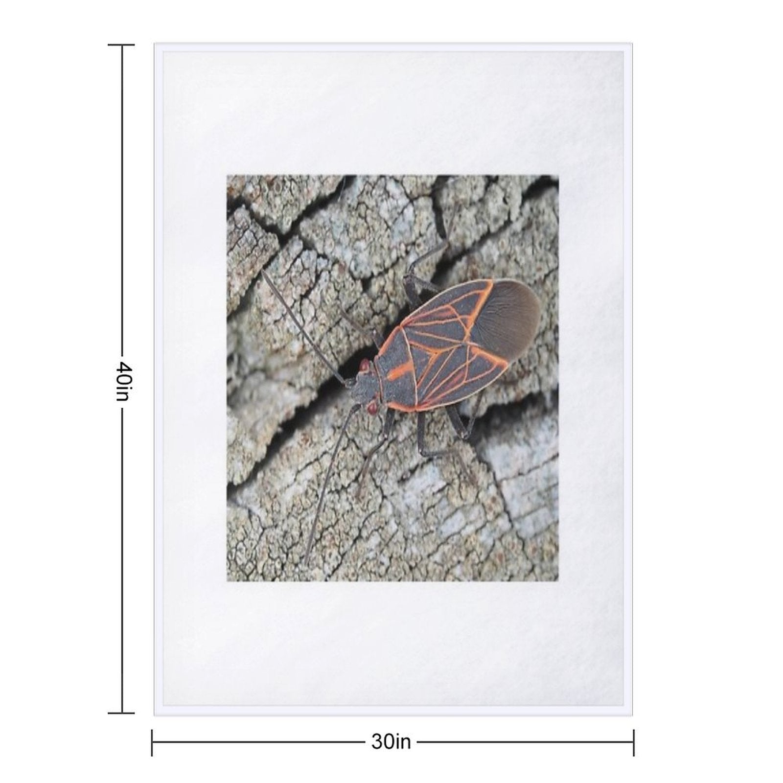 Western Boxelder Bug Comfort Throw Blanket