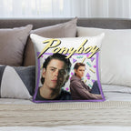 80s Ponyboy Curtis The Outsiders Soft High-Density Material Throw Pillow
