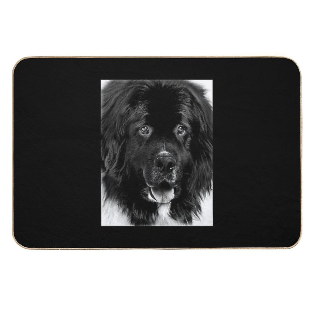 Newfoundland Dog Portrait in Black And White Durable Bath Mat