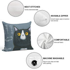 Maths Cat Soft Anti-Pilling Throw Pillow