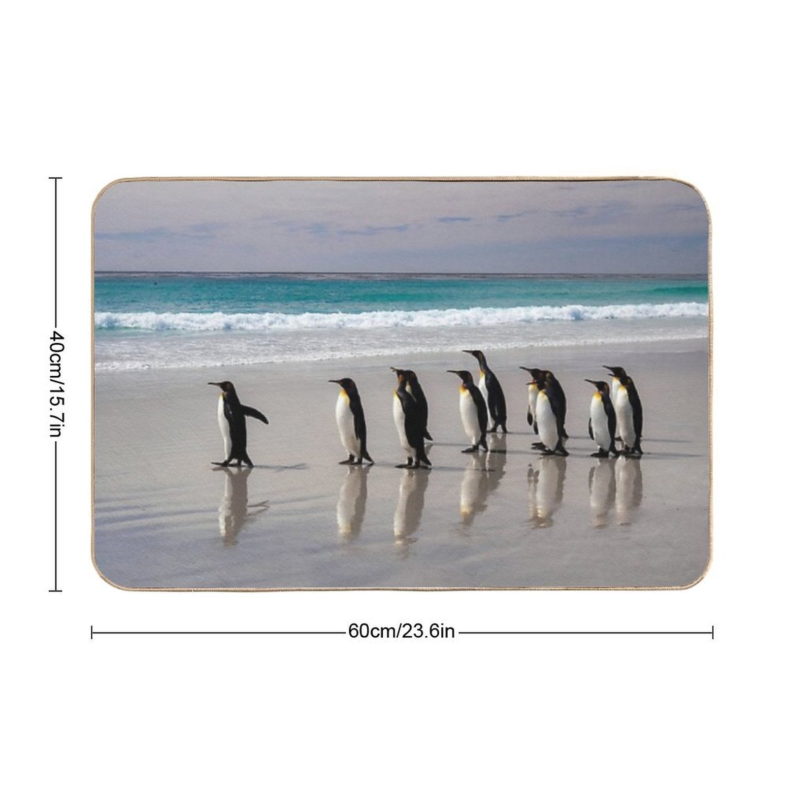 Everyone, Follow Me!..  Odorless Bath Mat