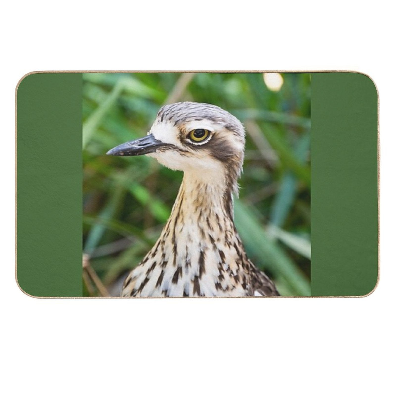 Bush Stone Curlew Bird.  Toxin-Free Bath Mat