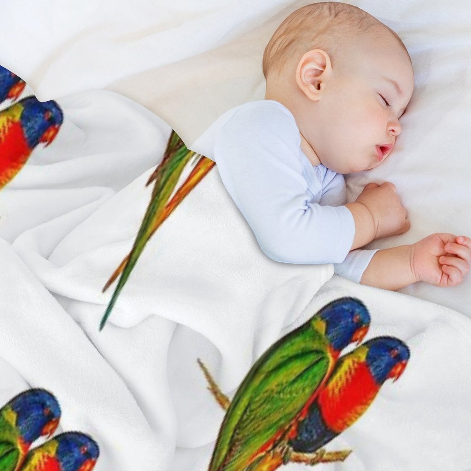 Rainbow Lorikeet Bird Australian Multi-functional Throw Blanket