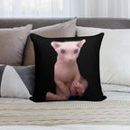 Bingus Soft Home Decor Throw Pillow