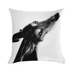 Always There II White Soft Fade-Resistant Throw Pillow