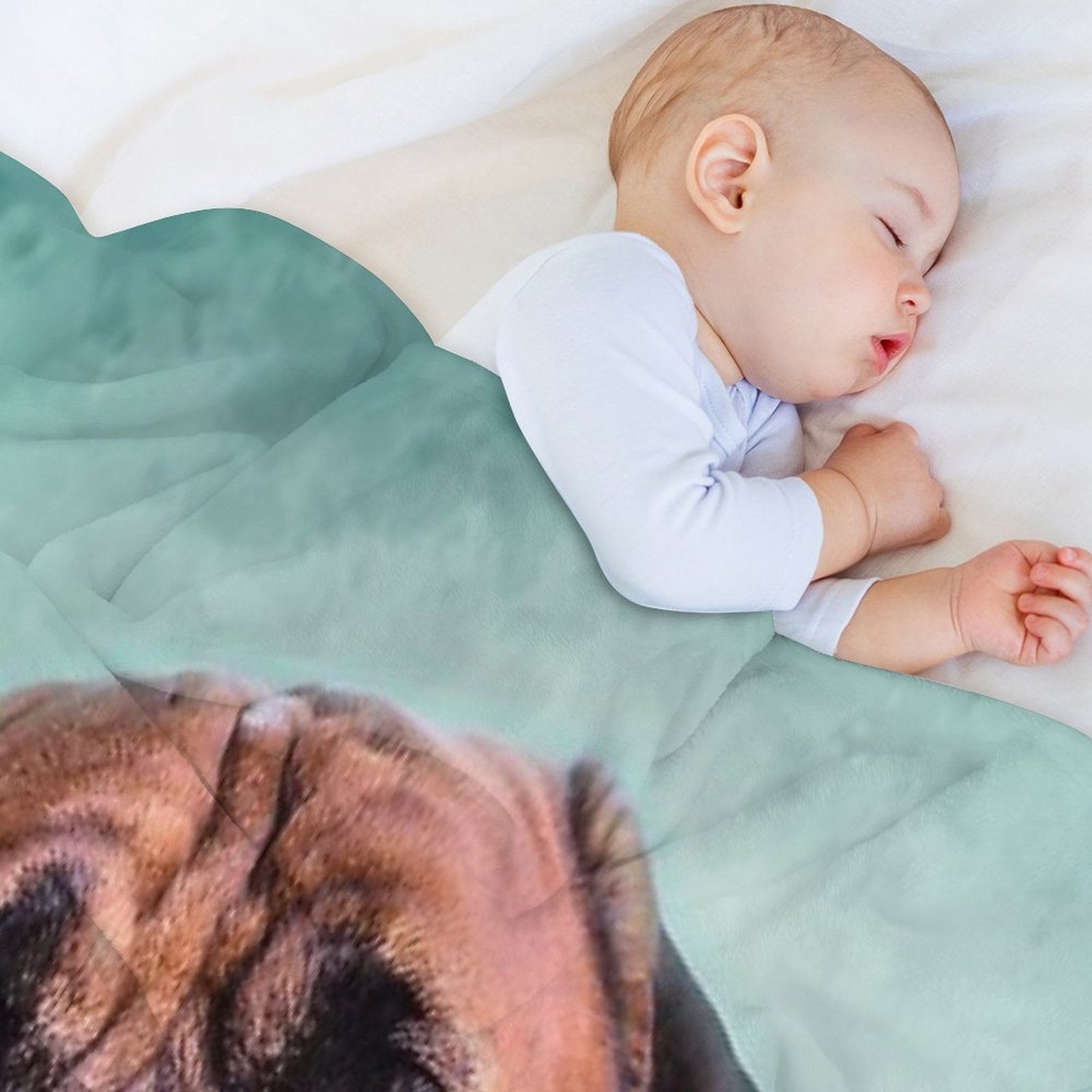 Bullmastiff Dog Sustainable Throw Blanket