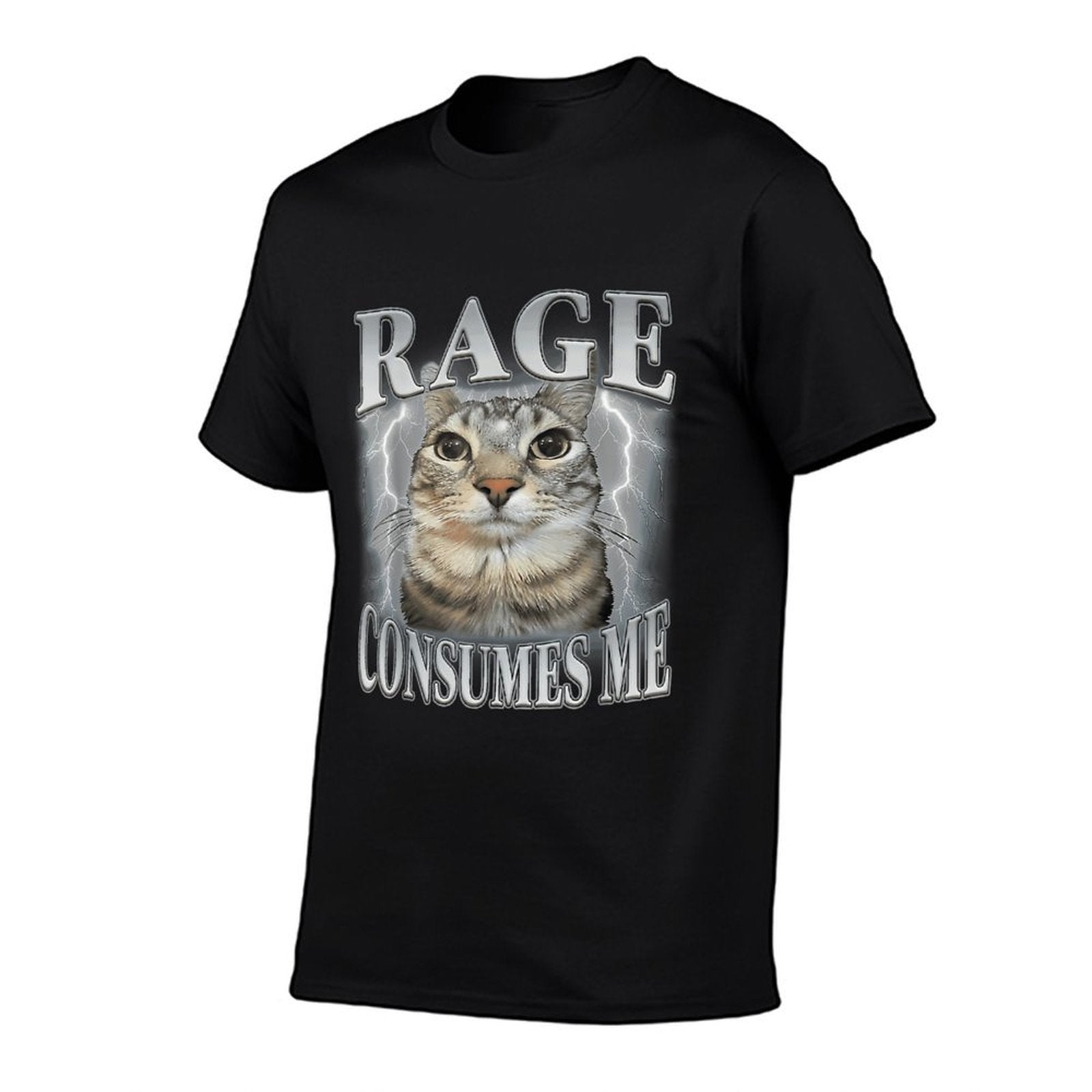 Rage Consumes Me Funny Silly Staring Cat Meme Women Men  Polyester Blend T-Shirt