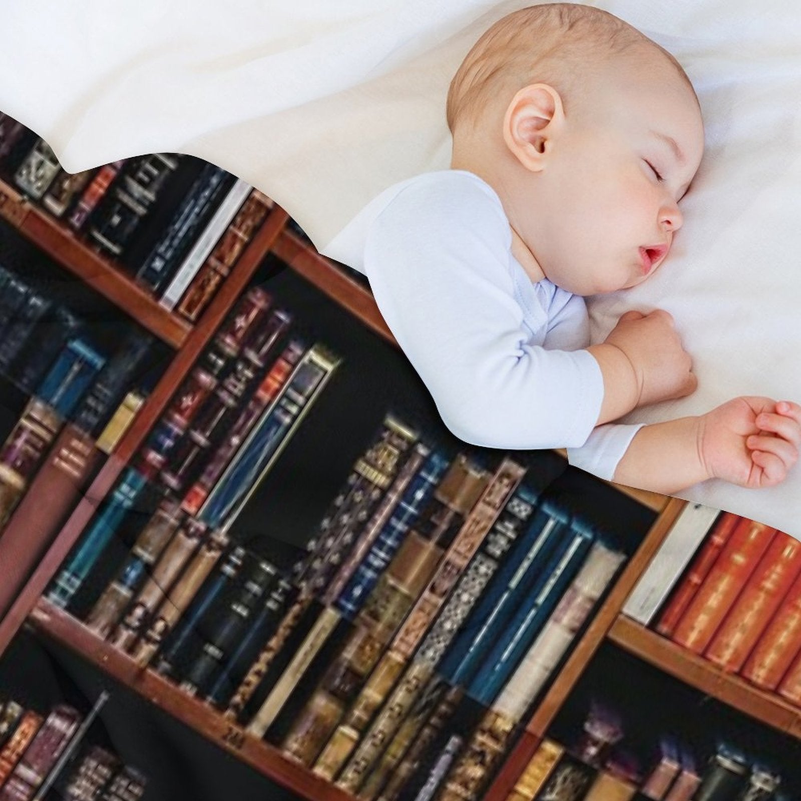 Full Bookshelf, Book And Reading Lovers Easy Care Throw Blanket