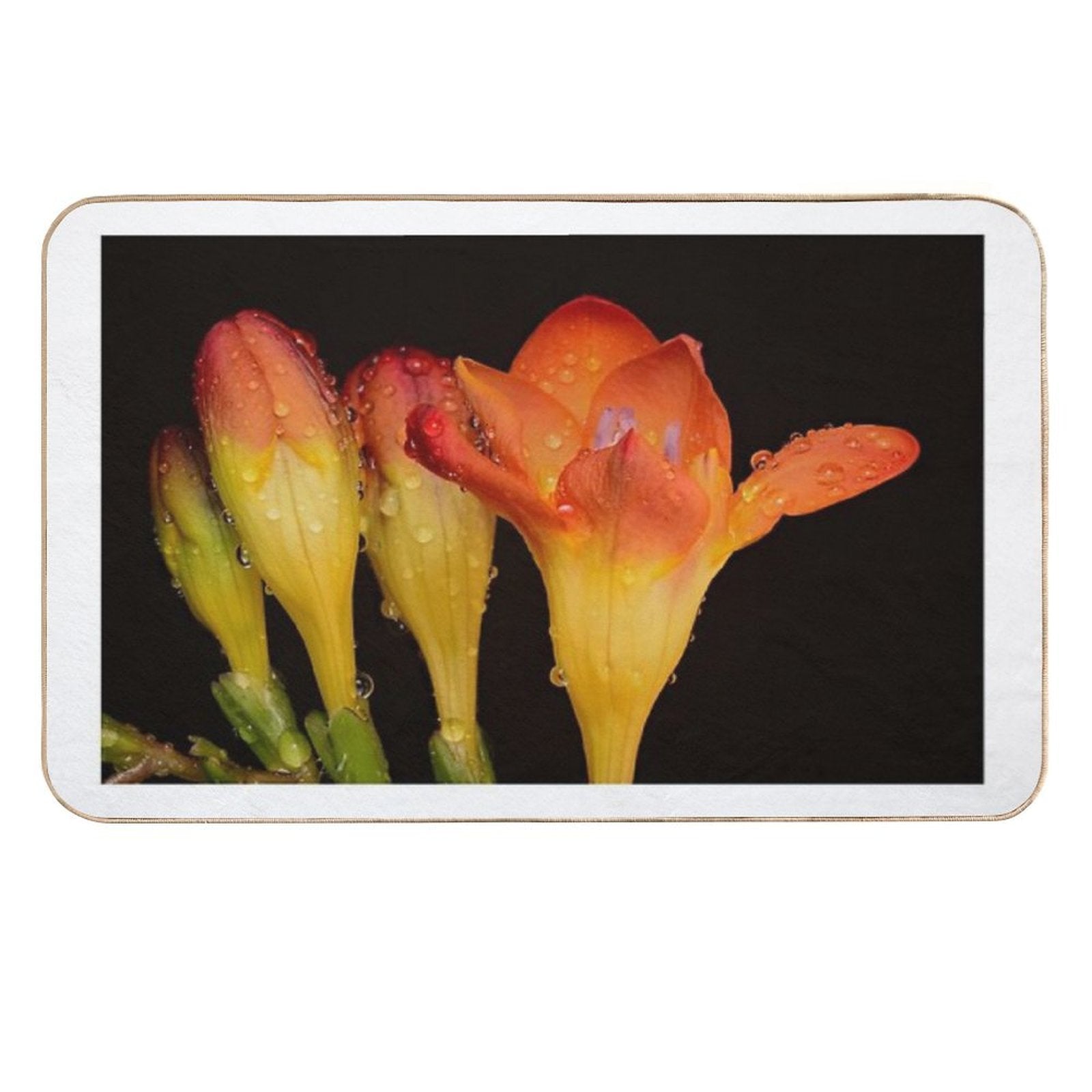 Vibrant Freesia Bloom with Dew Drops – Macro Floral Photography Fressia  Odorless Bath Mat