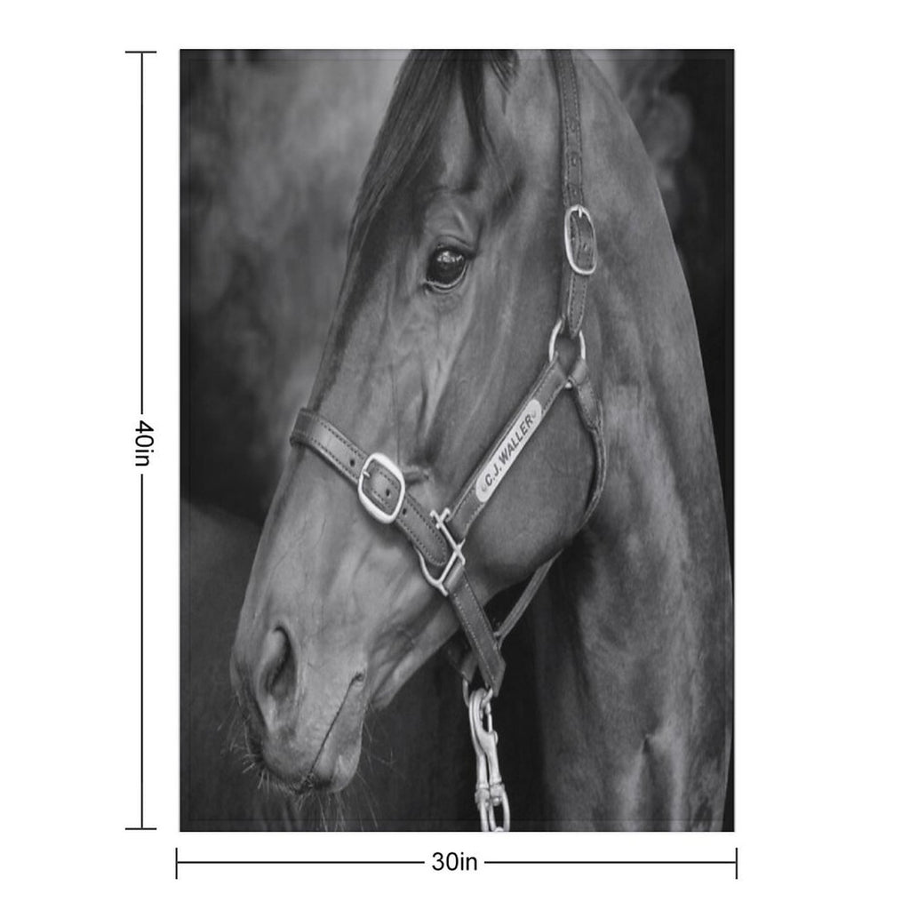 Winx - Farewell to A Champion Anti-pilling Throw Blanket