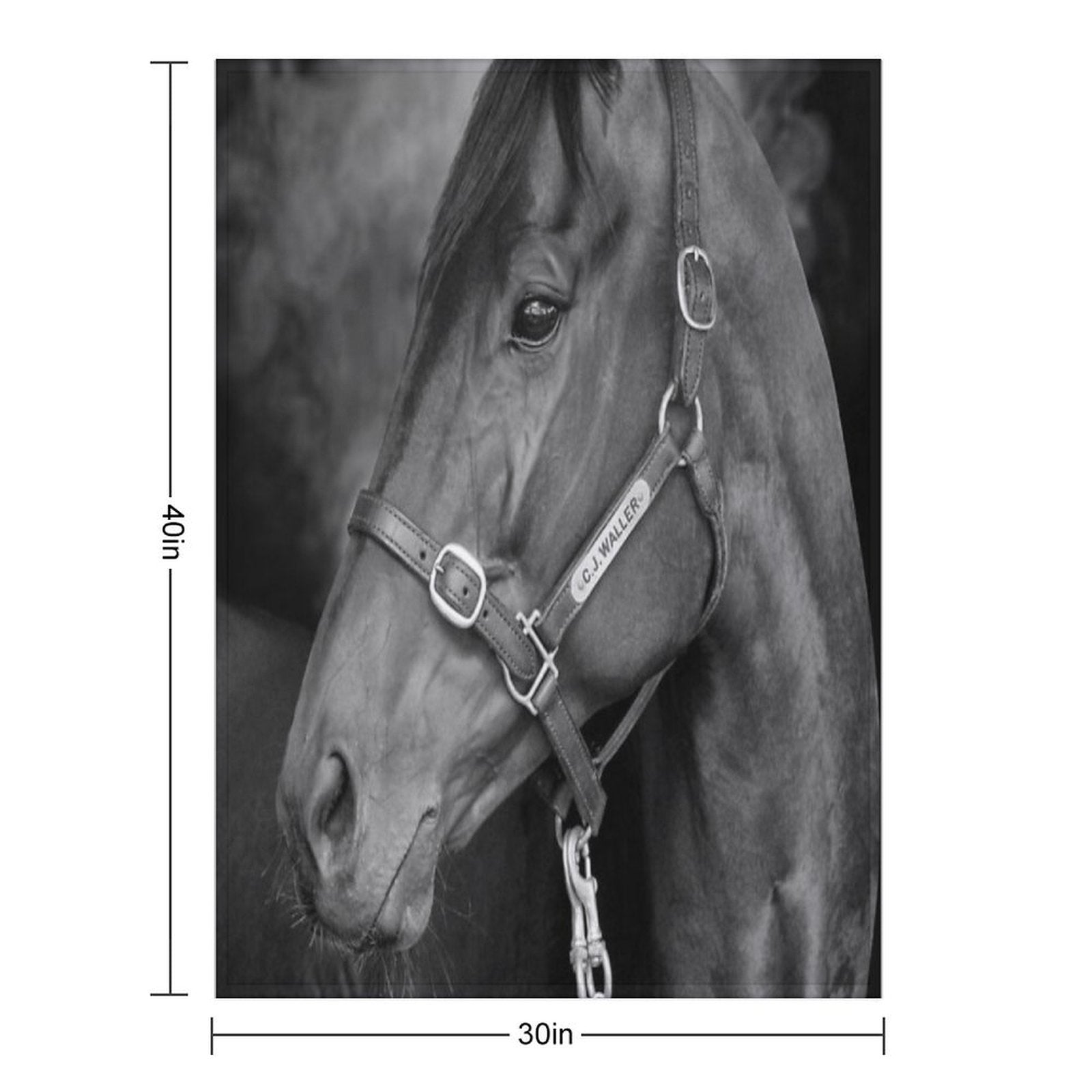 Winx - Farewell to A Champion Anti-pilling Throw Blanket