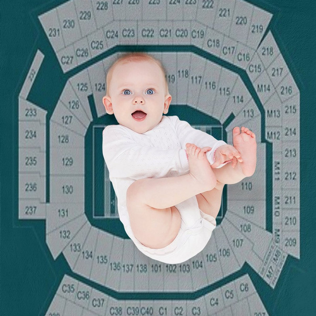 Philadelphia Eagles Lincoln Financial Field Stadium Poster Print Shrink-resistant Throw Blanket