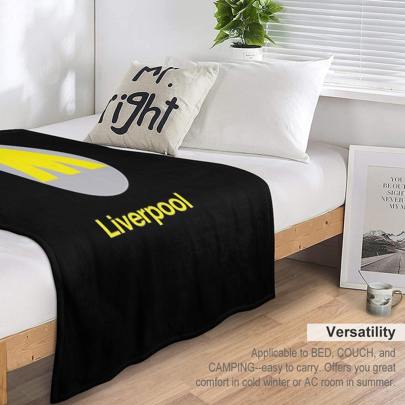 Liverpool Station Plush Throw Blanket