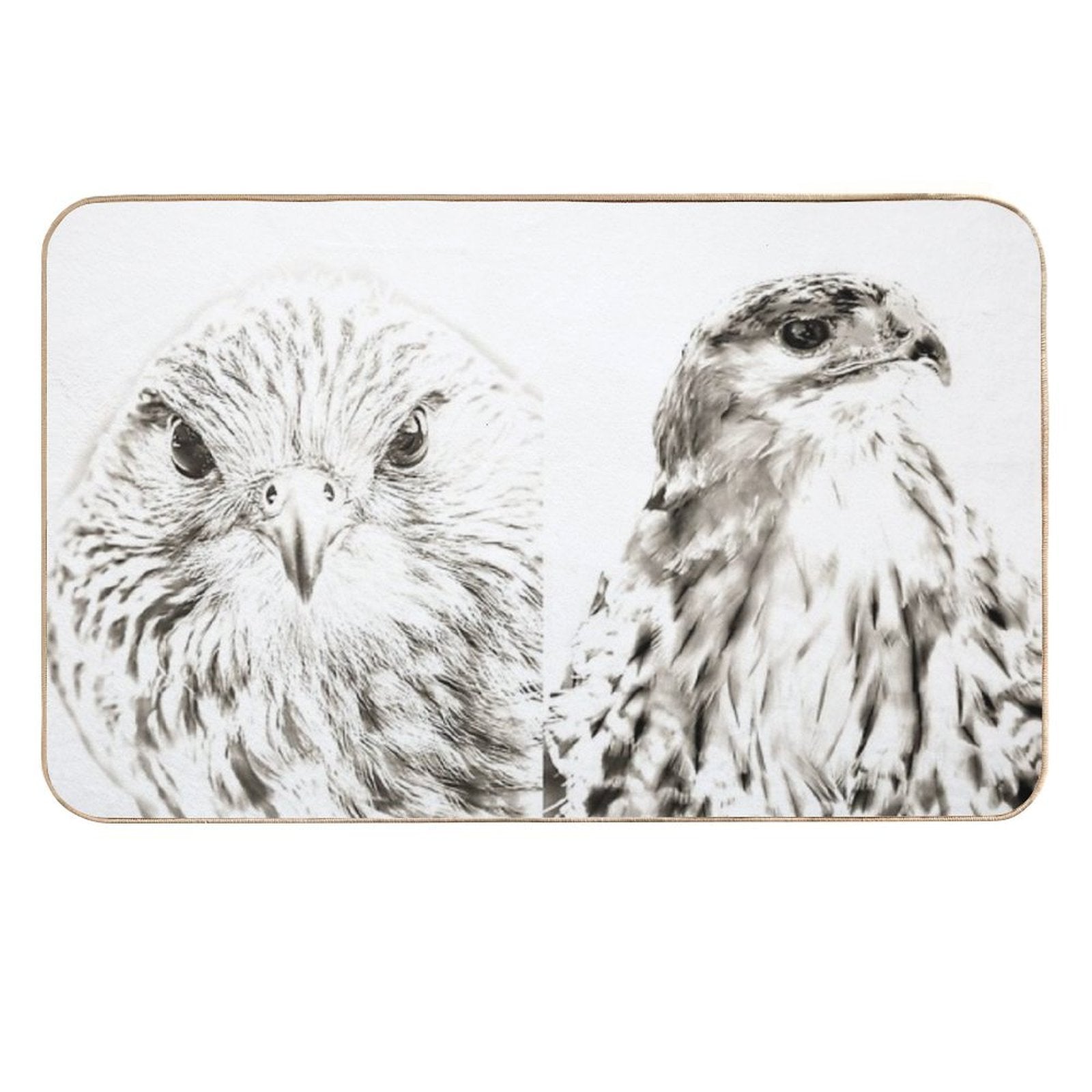 Falcon And Hawk  Dirt-Trapping Bath Mat