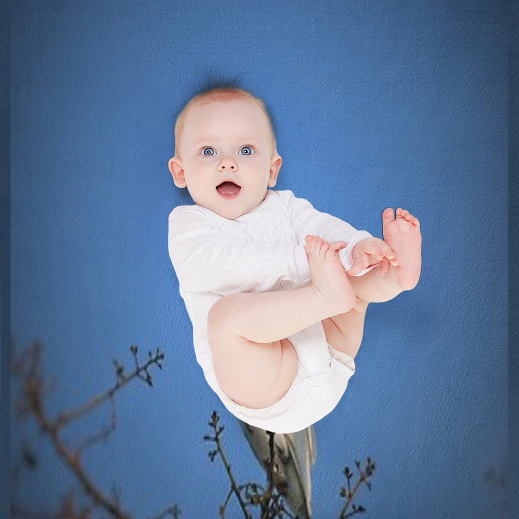 Cattle Egret Stands Gracefully in Field Compact Throw Blanket