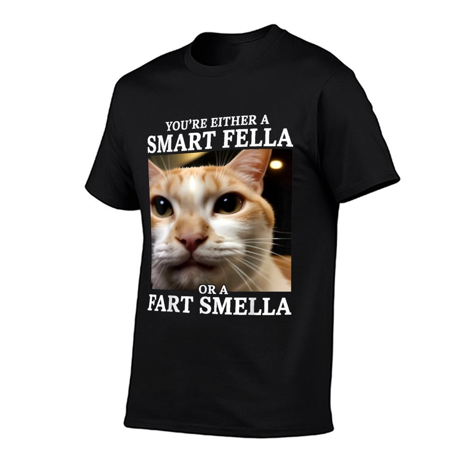 Youre Either A Smart Fella Or A Fart Smella Funny Cat Meme  Stretchy T-Shirt