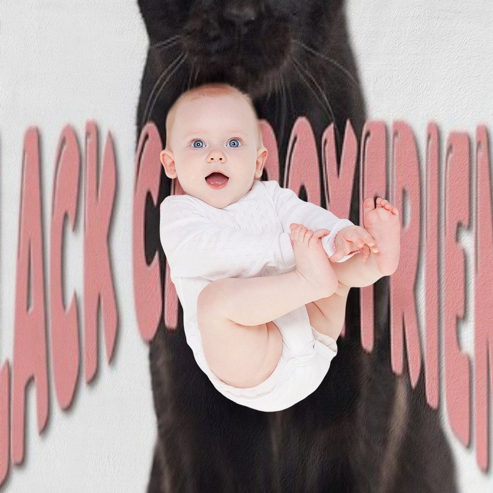 Black Cat Boyfriend Print Gift-ready Throw Blanket