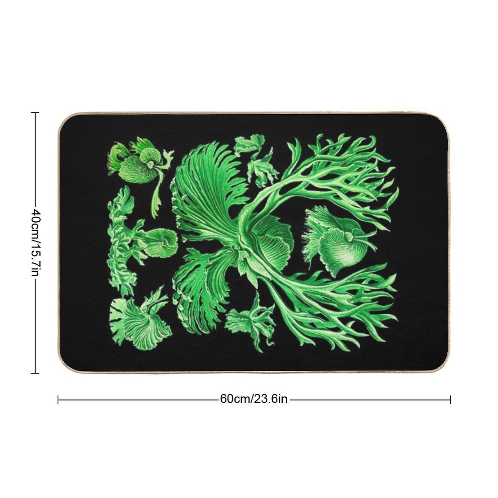 Plate 52. Platycerium Grande; The Staghorn, Or Elkhorn, Fern  Rapid-Drying Bath Mat